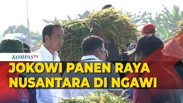 Jokowi Panen Raya Nusantara di Ngawi, Minta Harga Gabah Segera Ditetapkan