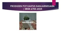 Produsen Pot Kaktus di Banjarnegara