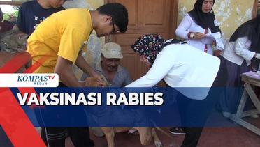 Warga Medan Bawa Anjing dan Kucing Ikuti Vaksinasi Rabies