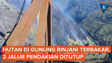 74 Hektare Lahan di Hutan Gunung Rinjani Terbakar, 2 Jalur Pendakian Ditutup