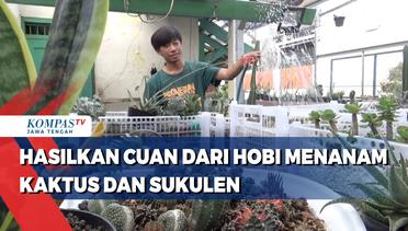 Mahasiswa di Kota Semarang Hasilkan Cuan dari Hobi Menanam Kaktus dan Sukulen