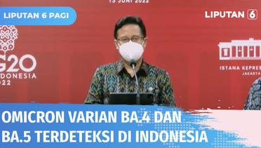 Omicron Varian BA.4 dan BA.5 Terdeteksi di Indonesia, Delapan Orang Ditemukan Terpapar | Liputan 6