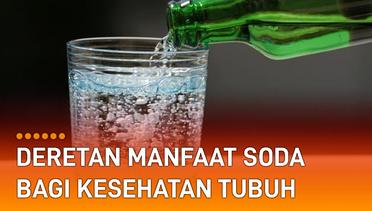 Deretan Manfaat Soda Bagi Kesehatan Tubuh