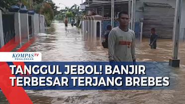 Banjir Terbesar Sejak 2018! Ratusan Rumah Terendam, Tanggul Sungai Pemali Jebol!