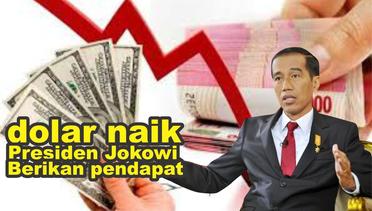 dolar naik Presiden Jokowi Berikan pendapat