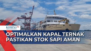 Optimalkan Kapal Ternak, KSOP Banjarmasin Pastikan Suplai Sapi di Kalsel Selama Ramadan Lancar