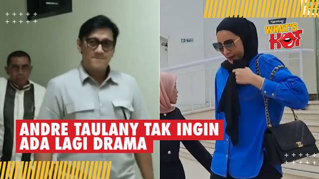 Resmi Bercerai, Andre Taulany Ingin Fokus Buka Lembaran Baru