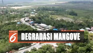 Pengelola Mangrove Kaltim Resah Dampak Penetapan Ibu Kota Baru - Liputan 6 Siang