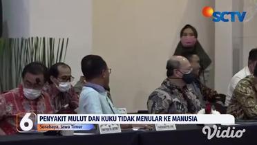 PMK Mewabah, Surabaya Tolak Sapi dari Empat Daerah