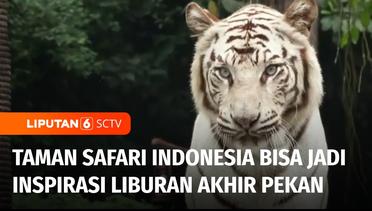 Taman Safari Indonesia Tempat Liburan Akhir Pekan, Bisa Jadi Sarana Edukasi Bagi Anak | Liputan 6