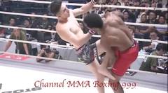 The most severe MMA Knockouts - best highlights - best knockouts