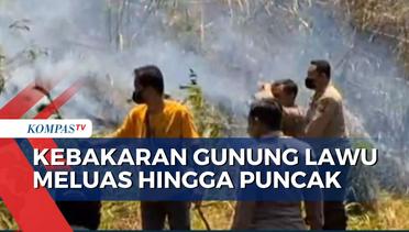 Kebakaran Gunung Lawu, Api Meluas Hingga Masuk ke Wilayah Magetan
