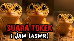 suaratokek