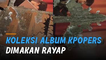 Dimakan Rayap, Koleksi Album KPopers Hancur