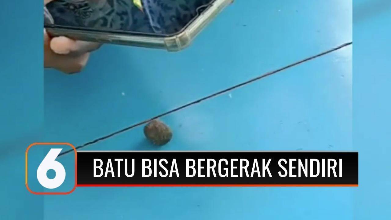 Viral Di Jember Batu Seperti Kerikil Bisa Bergerak Sendiri Polisi