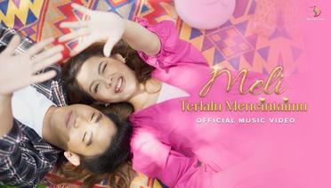 Meli LIDA - Terlalu Mencintaimu | Official Music Video