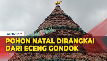Keunikan Pohon Natal Terbuat dari Eceng Gondok di Semarang
