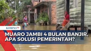 Warga Muaro Jambi Sudah Terjebak Banjir selama 4 Bulan, Apa Solusi dari Pemerintah Setempat?