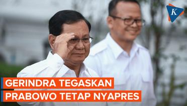 Sekjen Gerindra Sebut Tak Pernah Berpikir Prabowo Jadi Cawapres