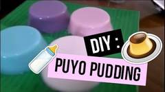Resep Puding Lava, Puding nya anak gaul