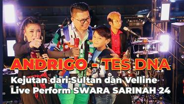 Andrigo - Tes DNA (Kejutan dari Sultan dan Velline Live Perform SWARA SARINAH 24)