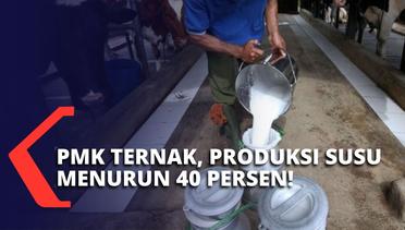 PMK Mewabah Sejak Mei, Produksi Susu Sapi di Malang Turun 40 Persen! Kerugian hingga Rp 3 M