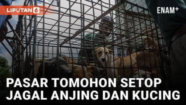 Pasar Ekstrem Sulawesi Setop Jagal  Kuncing dan Anjing
