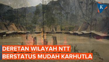 BMKG Sebut Wilayah NTT Rawan Karhutla