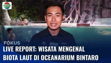 Live Report: Rekreasi Wahana Akuarium Raksasa di Oceanarium Bintar | Fokus