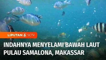Serunya Menyelami Indahnya Bawah Laut di Pulau Samalona, Makassar | Liputan 6