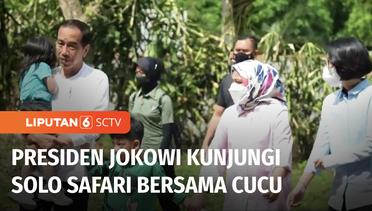 Presiden Jokowi Ajak Cucu Berwisata ke Solo Safari Isi Waktu Libur Imlek | Liputan 6