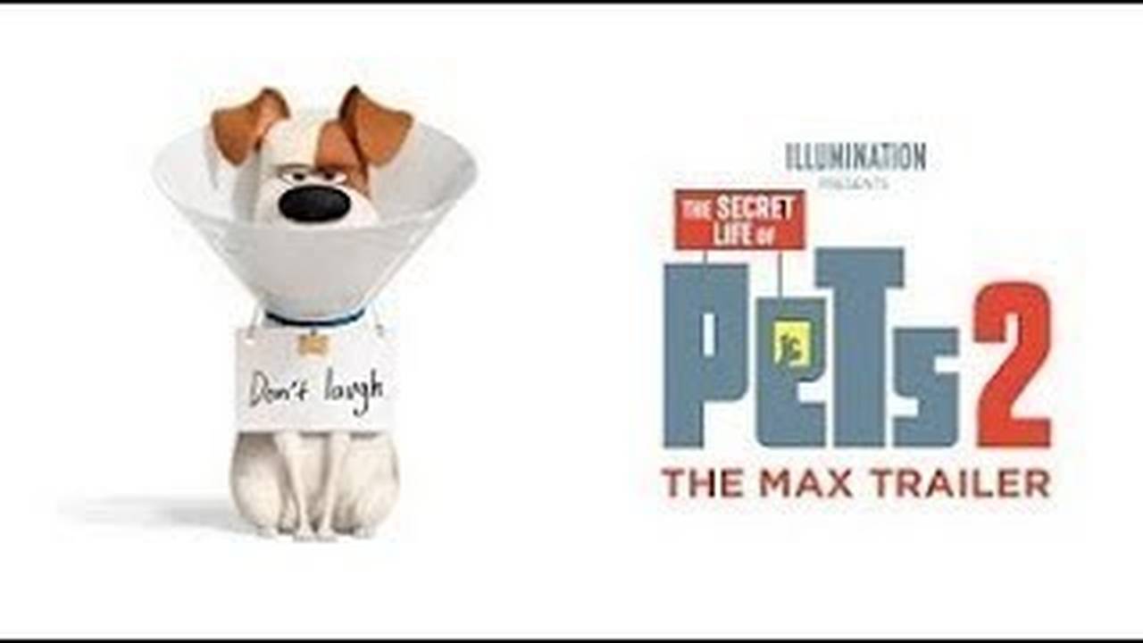 The secret life of pets 2 full movie free sales