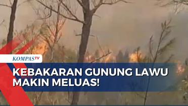 Hari Ketiga Kebakaran Hutan Gunung Lawu, 350 Personel Dikerahkan Padamkan Api
