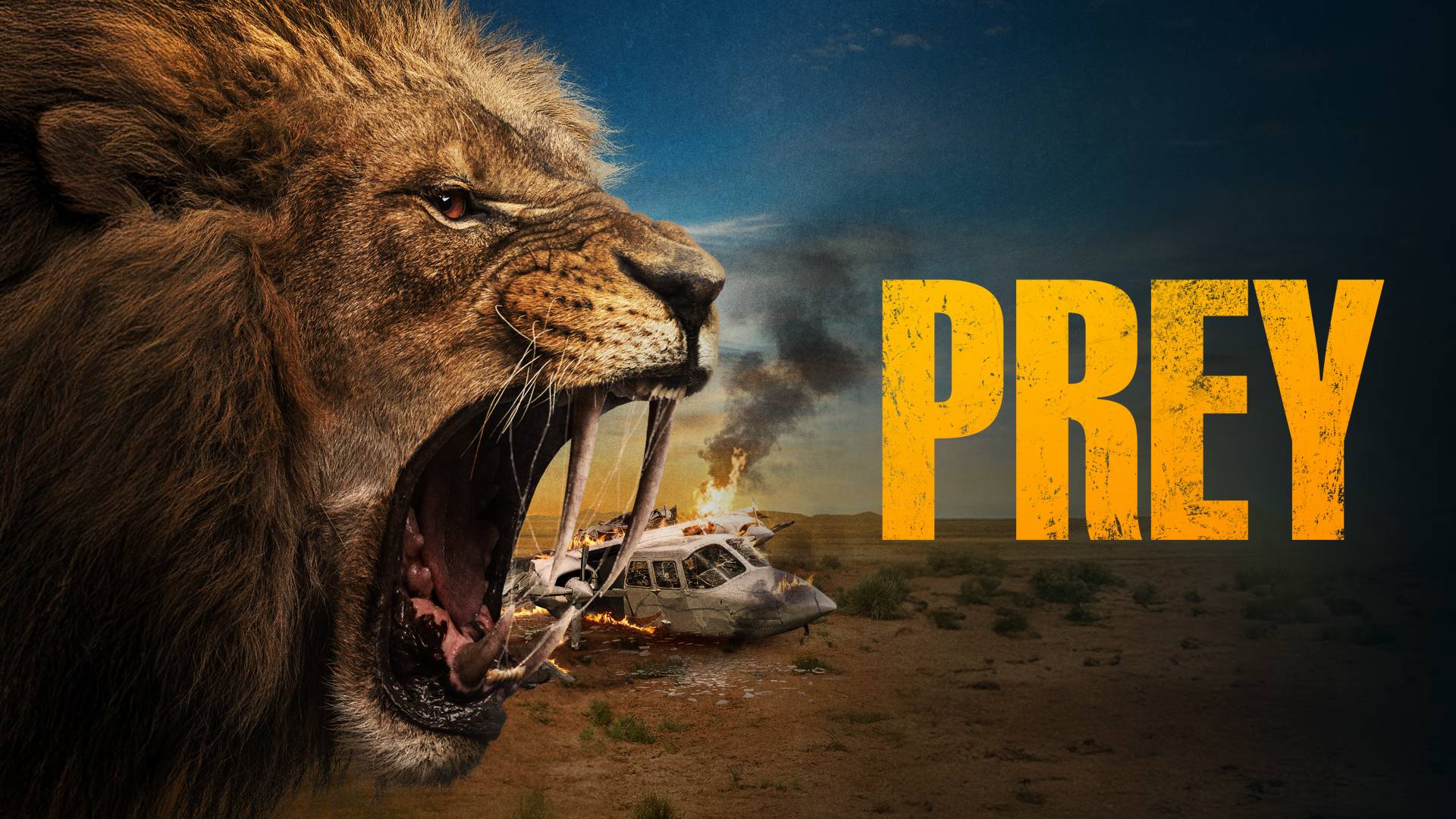 Prey