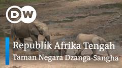 DW Going Wild 10 - Republik Afrika Tengah_Taman Negara Dzanga-Sangha