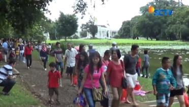 Kebun Raya Bogor Tetap Buka Saat Kedatangan Obama - Liputan6 Pagi