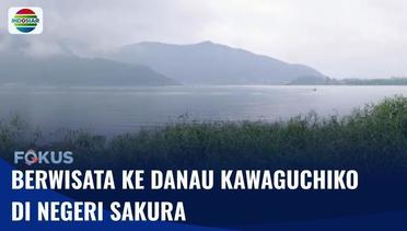 Jalan-Jalan Menikmati Keindahan Alam dan Makanan di Kawasan Danau Kawaguchiko | Fokus