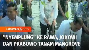 Presiden Jokowi dan Prabowo Ikuti Kegiatan Penanaman Mangrove di Taman Wisata Alam Angke | Liputan 6