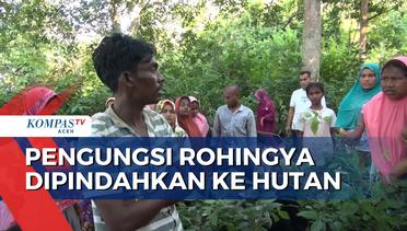 Pengungsi Rohingya Dipindahkan ke Hutan Perbatasan Hutan Pidie dengan Aceh Besar