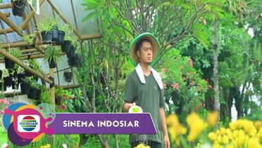 Sinema Indosiar - Pemandi Jenazah Jadi Pengusaha Toko Bunga