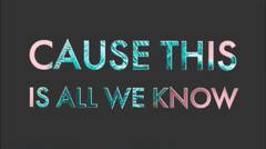 The chainsmokers - All we know lyric video