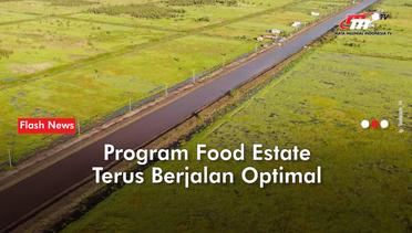 Produksi Food Estate Mengalami Peningkatan Serentak Di Tiga Kawasan | Flash News