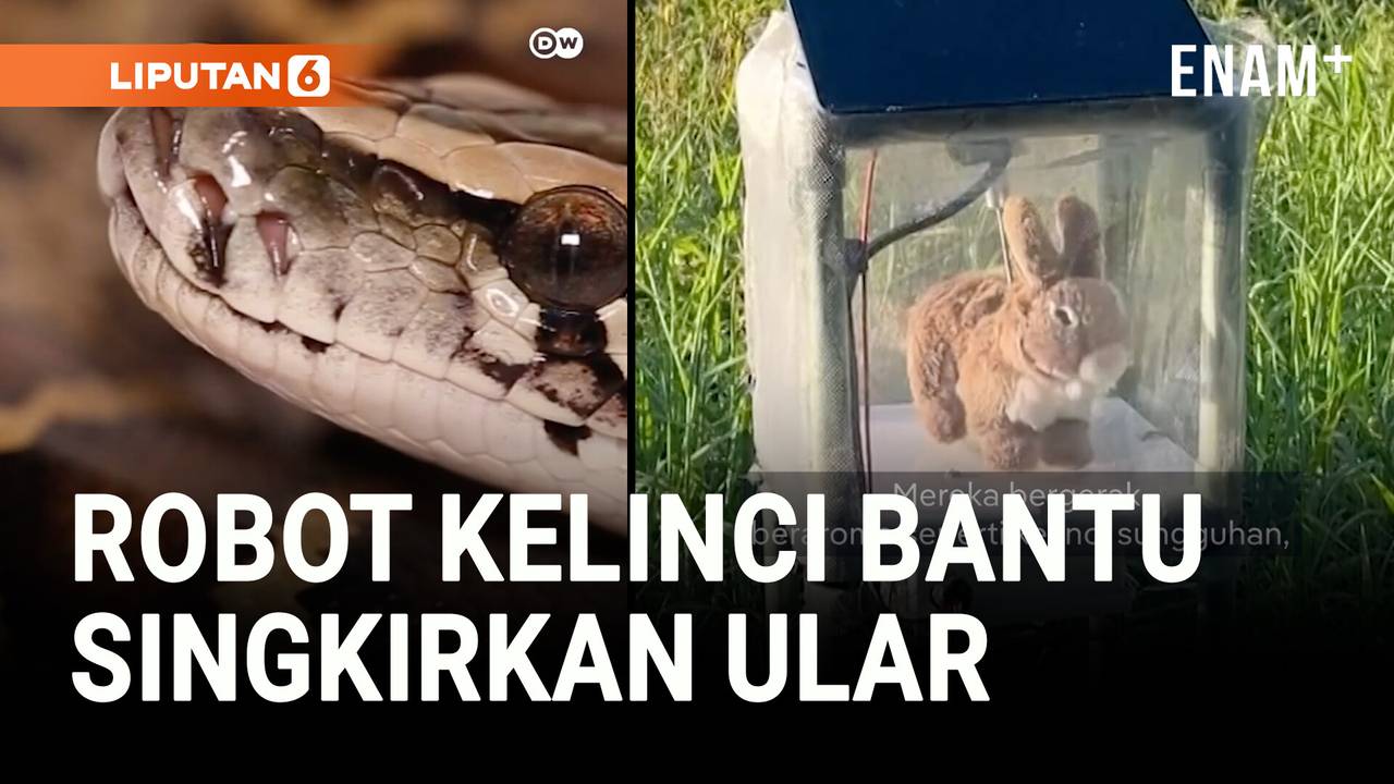 Seksual ofitsiantning dumba surati