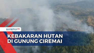 Kebakaran Meluas, Lebih dari 100 Hektare Hutan di Gunung Ciremai Hangus