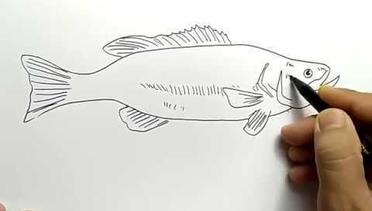 cara menggambar ikan dengan sangat mudah