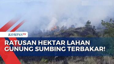 240 Hektar Lahan di Gunung Sumbing Wonosobo Hangus Terbakar