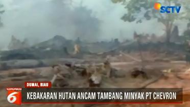 Kebakaran Hutan dan Lahan di Riau Meluas ke 8 Kabupaten - Liputan 6 Pagi