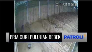 Terekam CCTV! Pria di Klaten Curi Puluhan Bebek dan Memasukkannya ke Dalam Karung | Patroli