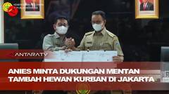 Anies minta dukungan Mentan tambah hewan kurban di Jakarta