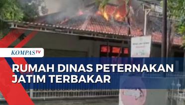 Rumah di Kompleks Dinas Peternakan Jawa Timur Terbakar, 12 Unit Mobil Pemadam Diterjunkan
